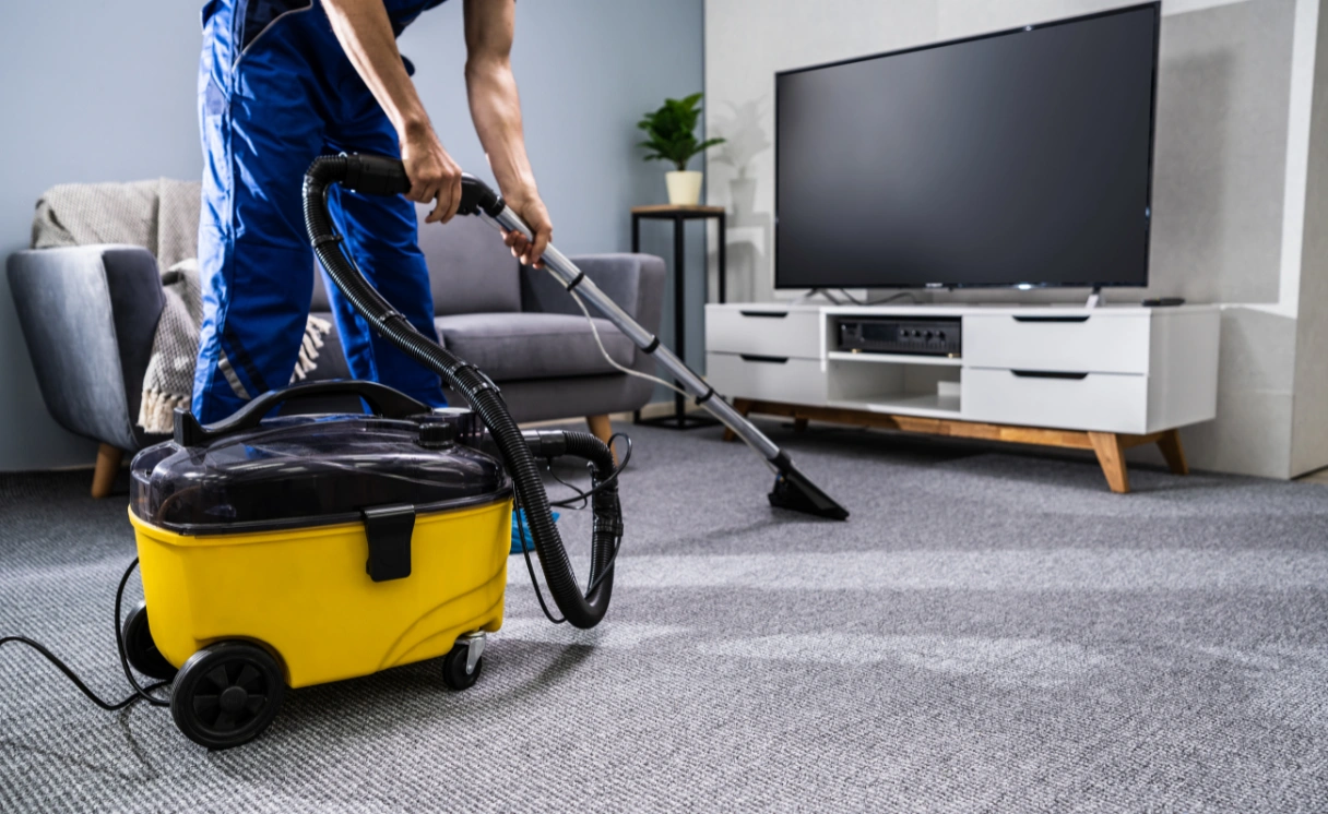 Extract Curtain Cleaning Maude Contact Office
